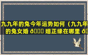 九九年的兔今年运势如何（九九年的兔女婚 🐒 姻正缘在哪里 🐳 ）